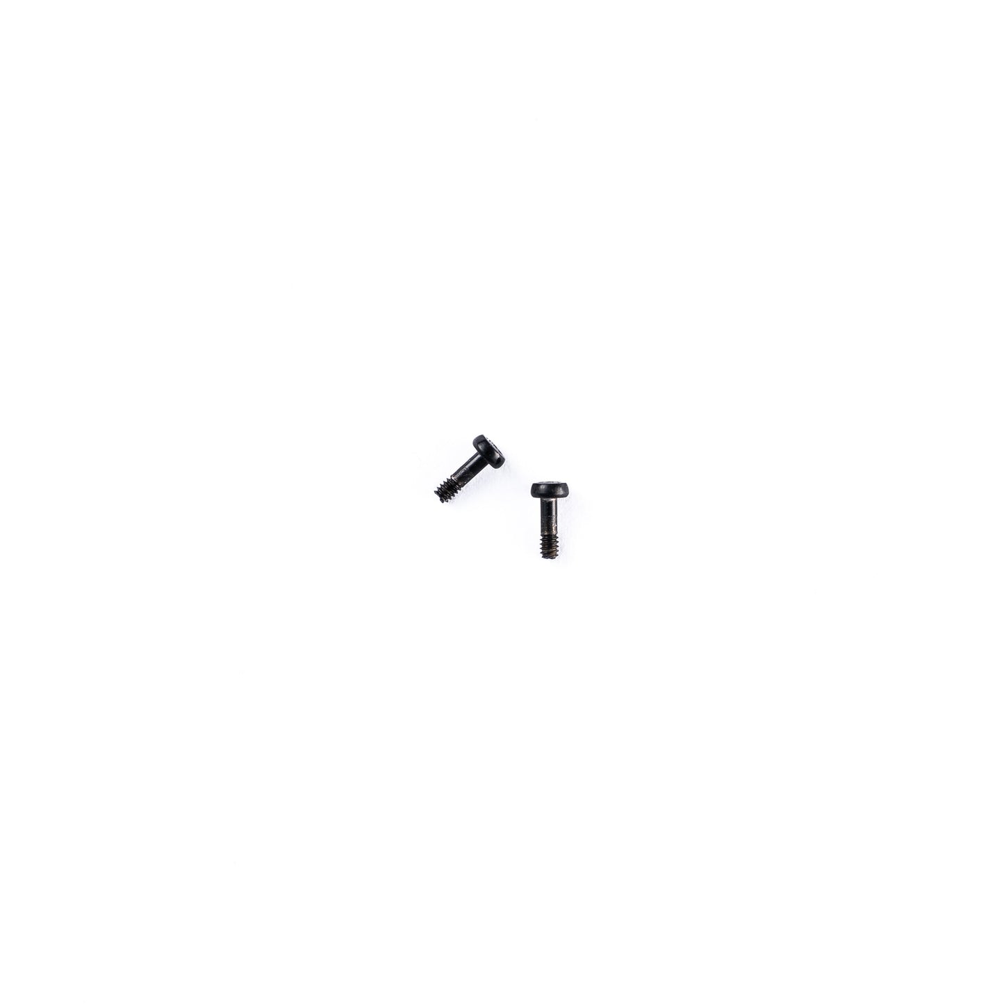 Screws (5) for AI Dash Cam